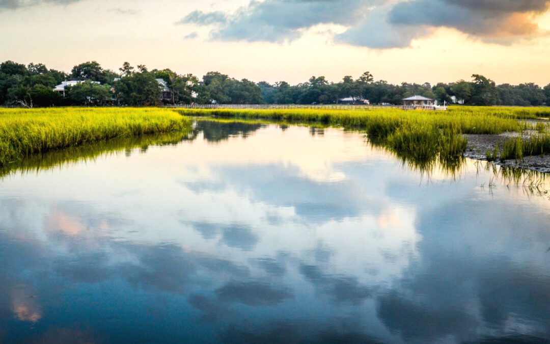 A Brief Neighborhood Guide For Moving To James Island, SC